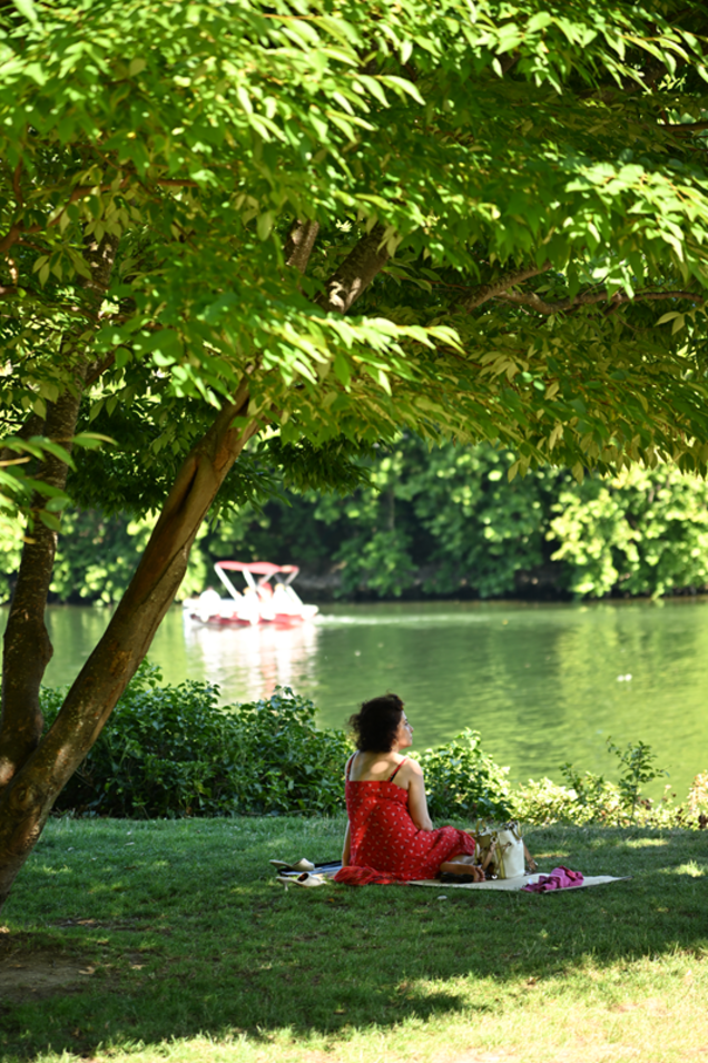 Dimanches en Seine, l'édition 2025, vue des berges de Seine